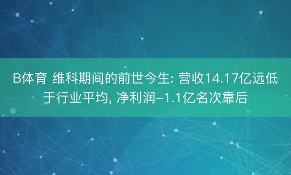 B体育 维科期间的前世今生: 营收14.17亿远低于行业平均, 净利润-1.1亿名次靠后